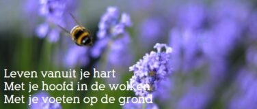 Doen wat je leuk vindt