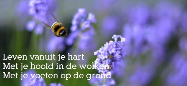 Doen wat je leuk vindt