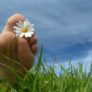 Voeten op de grond! – Wat is gronden?