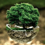 Droomgenoten – Dromen leren gebruiken voor transformatie