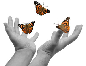 Hands-releasing-butterflies
